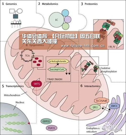 华体会体育_【只玩初盘】周五日联 关东关西大碰撞(图1) 电竞棋牌